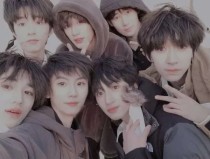 草莓丝瓜向日葵绿巨人